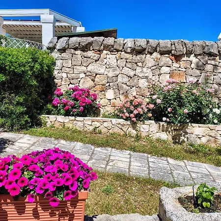 Trulli Valle D'itria Martina Franca