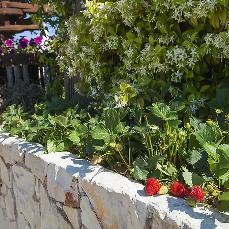 Prázdninový dům Trulli Valle D'itria Martina Franca