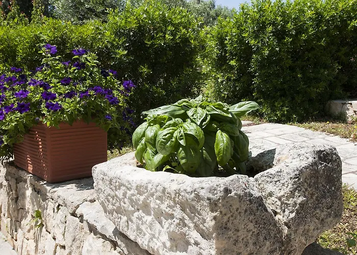 Trulli Valle D'itria 펜션 마르티나프란카